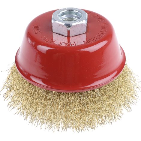 Brosse abrasive Coupe RS PRO ( Prix pour 1 ) (1/3)