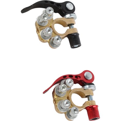 Bornes de connexion rapide 4 voies pour batteries, pôles positif rouge et négatif noir pour installation électrique (1/5)