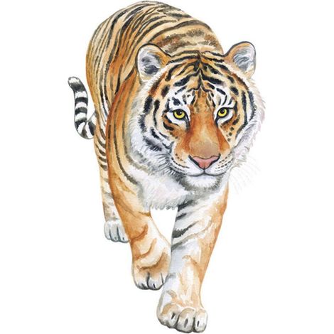 Autres décorations murales Un ensemble d'autocollants muraux Tigre - Décoration murale pour salon, chambre, bureau, cuisine - Autocollants muraux (1/5)
