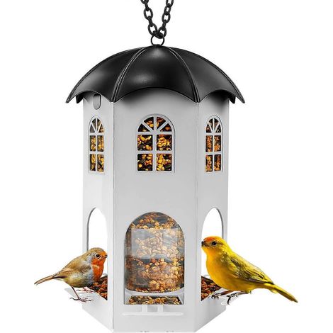 Mangeoire à oiseaux en métal à suspendre en extérieur, avec perchoir circulaire, anti-écureuils, facile à nettoyer et à remplir, grande capacité de graines (1/5)