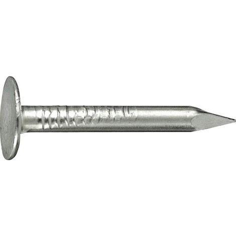 Dachpappstift tzn 2,5x 30 a 2,5kg 5 Stk