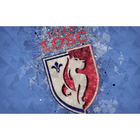 Papier peint panoramique Foot / Football - LOSC - Lille - 130 cm x 81 cm (1/2)