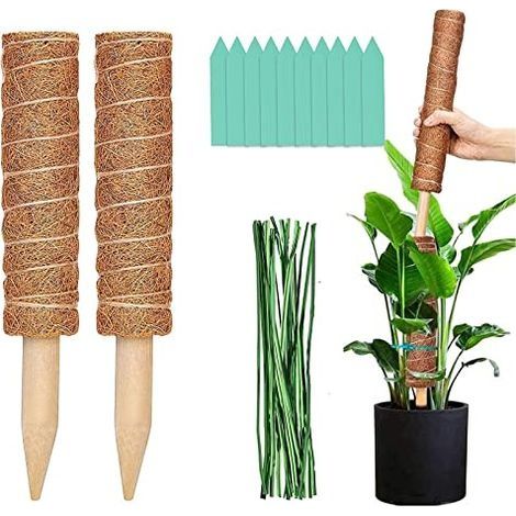 Tuteur Plante Grimpante Intérieur, Tuteur Monstera Coco, Tuteurs pour Plantes 50 Cm, Support pour Plantes Grimpantes D'intérieur Tuteur Plante Mousse A Feuille Lot De 2 Kit (1/5)