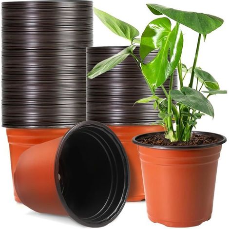 Pots de culture Lot de 50 Plastique rouge Drainage optimisé Semis et jardinage 15,2 cm (1/5)