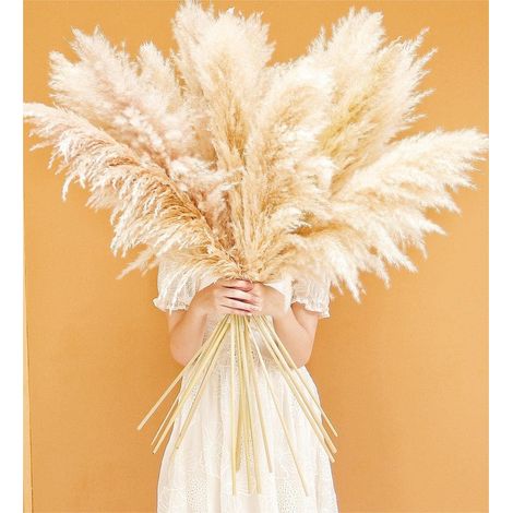 45 Pouces Décoration de Hautes Herbes de Pampas Naturelles avec 10 tiges. Parfait pour Les Mariages, Les fêtes, Les fermes et la décoration bohème à Domicile. (1/5)