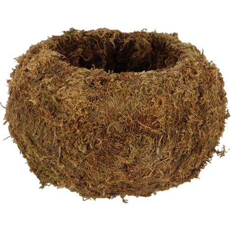 Boule de mousse Kokedama L - Marron - D 19,8 x H 12 cm cm - Livraison gratuite (1/5)