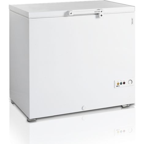 Congélateur Coffre FR305 - TEFCOLD (1/5)