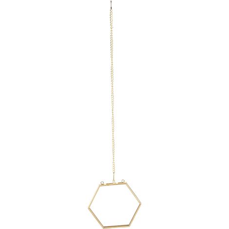 Cadre Photo Hexagonal en Verre pour Plantes Séchées - Présentation Unique de Spécimens Végétaux (1/5)