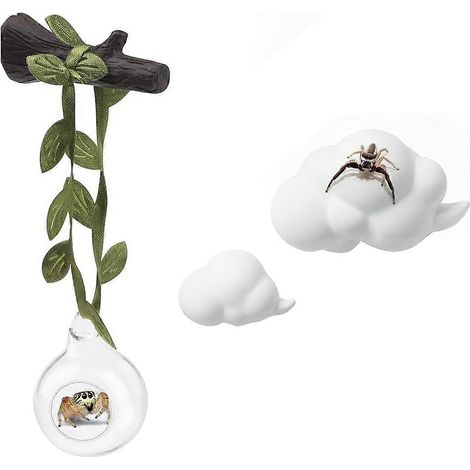 Set aus 4 Glasverstecken für Springspinnen mit wolkenförmigen Plattformen zur Dekoration eines Springspinnen-Terrariums. (1/5)