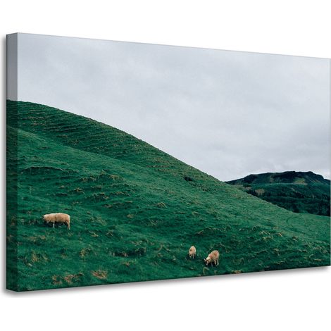 Lienzo impreso "Pasto natural en las montañas" 90x60