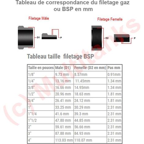 Multitanks – Raccord gaz mamelon égal mâle/mâle 1''1/2 – Laiton CW617N – PN16 – Filetage G ISO 228-1 pour plomberie – Étanchéité par joint plat