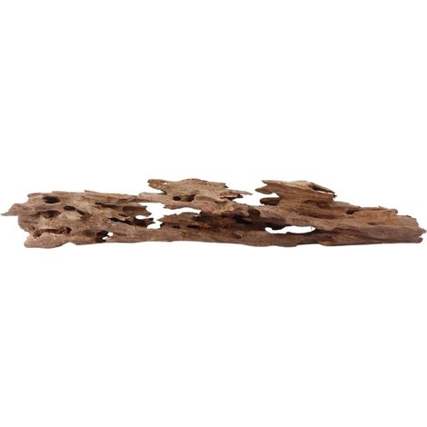 XL Honey Comb Wurzel Nr.1940 Holz Deko Aquascaping