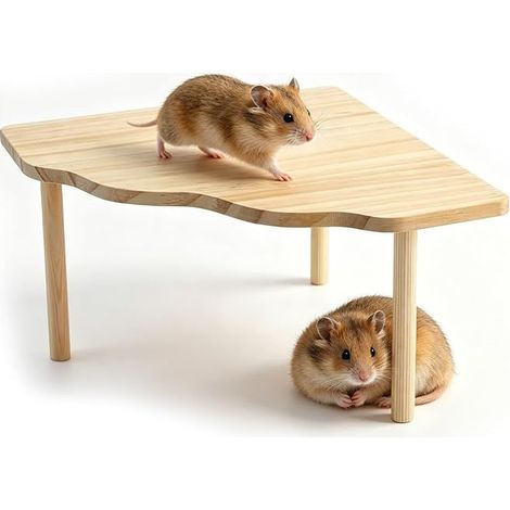 Holzregal Spielzeug Hamster Zubehör für Nagetiere Käfig Versteck Hamster Zwerg Rennmäuse Degue Chinchillas Meerschweinchen Tiere Tisch (1/5)