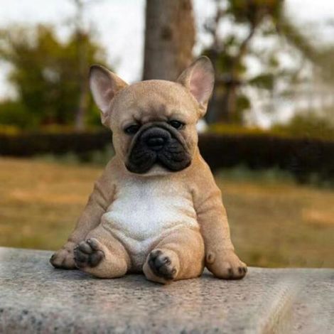 Statue de bulldog Bulldog French Statue Dog Figurine Resin Ornement pour le décor en plein jardin outil Prendre un chien (1/4)