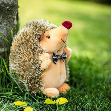 Hedgehog - Peluche En Peluche Douce - Pour Décoration Intérieure Et Cadeau - 1 Pièce (1/5)