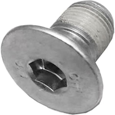 1 PièCes Boulon de Serrage Du Volant Petites Vis 1036655-00-A pour ModèLe SX 3 Y 2012-2021 (1/4)