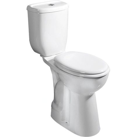 Sapho - WC à poser pour PMR, évacuation par le bas, blanc BD301.410.00 (1/5)