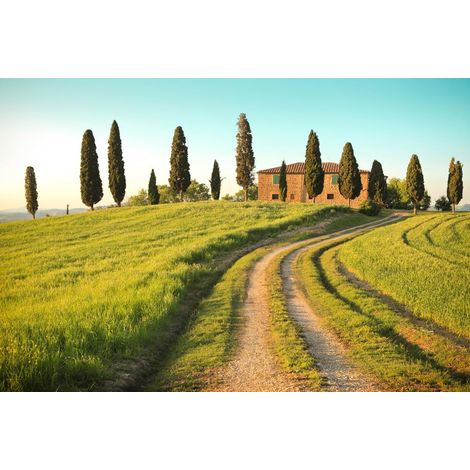 Papier peint Toscana 3,75 m x 2,50 m Papier peint Champ avec arbres en vert, marron, bleu y compris colle DD129579 (1/3)