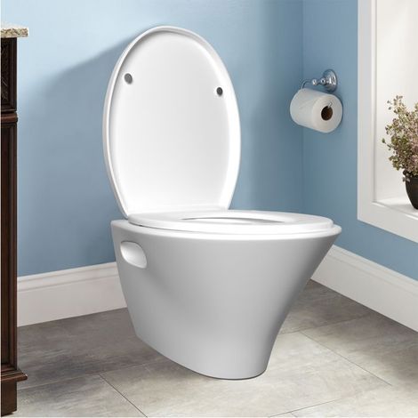 WC-Sitz – DAYPLUS – Standard-Oval-WC-Sitz – Polypropylen – Absenkautomatik – Schnellverschluss