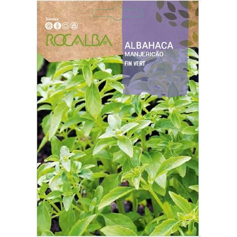Rokalba Albahaca beendet Vert -Taschen -Samen, Pack 5x