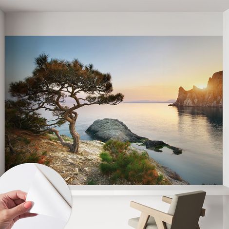 Carta da parati autoadesiva - Fotomurale adesivo - soggiorno moderno - resistente - Natura tranquilla 152x104 cm (1/5)