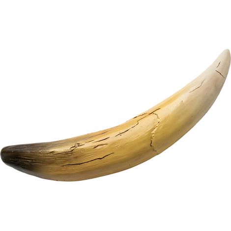 Sculture di denti di animale in resina portafortuna - UNO