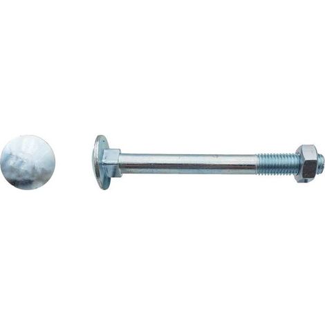 10 Boulons Tête Ronde Collet Carré TRCC 14 x 280 mm - DIN 603 - Zingué blanc - (1/3)