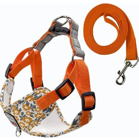 pair Fournitures pour animaux de compagnie Laisse respirante pour chien Laisse imprimée pour chien de promenade pour chien de petite et moyenne taille Nouveau harnais pour animaux de compagnie en gros (1/3)