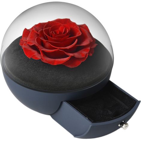 Boîte à bijoux en acrylique Rose Éternelle avec tiroir pour colliers et bagues, cadeau pour la famille et les amis (1/4)