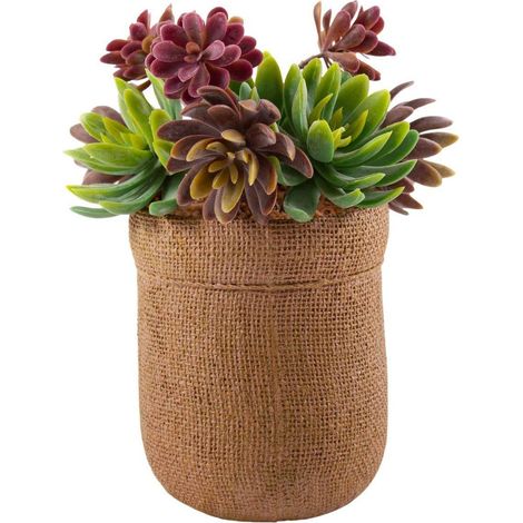 Pianta succulenta artificiale in vaso, 19X15,5H21 cm (1/2)