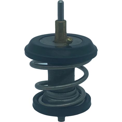 Thermostat automobile/Thermostat de liquide de refroidissement : Compatible avec Audi/OE : 06H121113B (1/4)