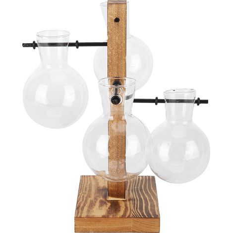 Vase hydroponique innovante avec support en bois pour plantes d'intérieur, design transparent pour bureau.