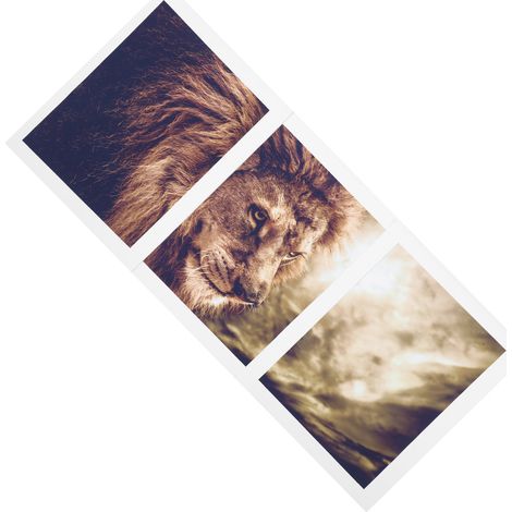 Ensemble de 3 tableaux sans cadre sur toile représentant un lion, art mural animalier, paysage, décoration intérieure (1/5)