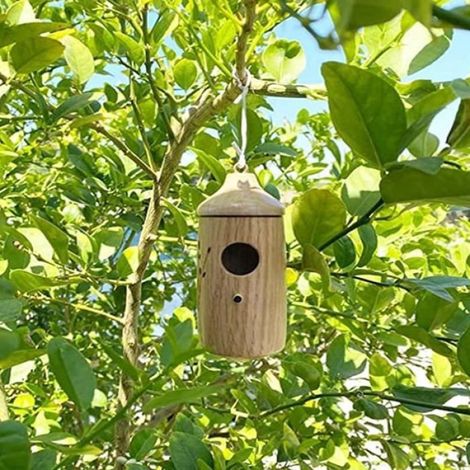 Maison pour colibris - Maison pour colibris en bois à suspendre à l'extérieur, Maisons pour colibris pour l'extérieur pour la (1/4)