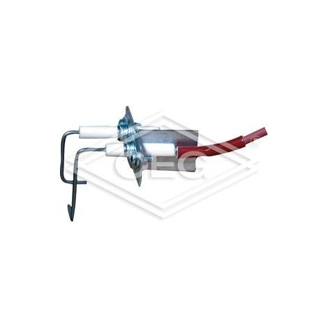 Électrode d'allumage et d'ionisation