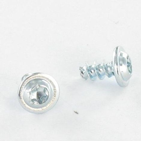 Vis pvc Inox A2 Poelier 3X8 TORX T10 microvis