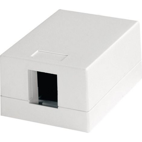 Prise réseau montage apparent (en saillie) non équipé 1 port 100021366 blanc-alpin R05641 (1/2)