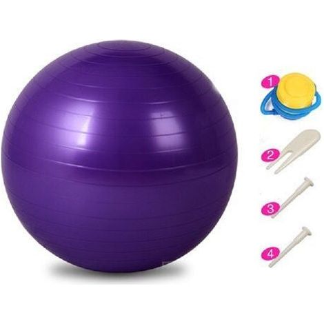 Ballon Grossesse,65, Swiss Ball, Gym, Pilates, Gonfleur Inclus, Fitness Materiel, Gymnastique, Yoga Accessoires (1/5)