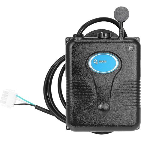 Générateur d'ozone 220 V 300 mg/h pour baignoire, douche et piscine - Purificateur d'eau de rechange (1/5)