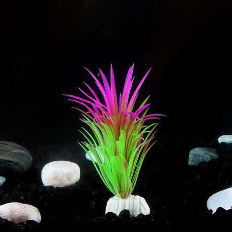 (C) Plante artificielle pour aquarium (11 x 2 x 3 cm) - Décoration pour aquarium - Plante en plastique sur socle (1/3)