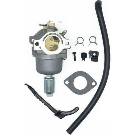 Carburateur pour Moteurs Briggs & Stratton 287707 287776 287777 310707 310777 698620 690194 791886 799727 496796 499153 695412 792768 Remplacement du carburateur (1/4)