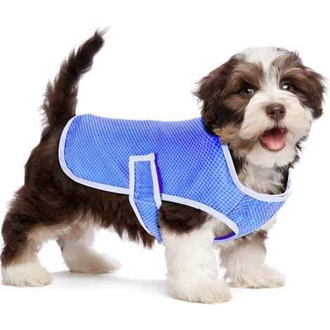 Gilet rafraîchissant pour chien, veste en maille respirante ajustable (1/5)