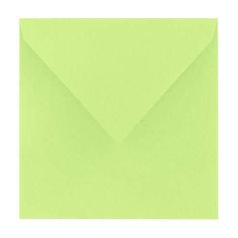 Enveloppe Pollen Clairefontaine vert bourgeon 165 x 165 mm - Paquet de 20