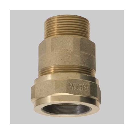 RACCORDO OTTONE PER TUBO FERRO M  3/4     AMG SPA