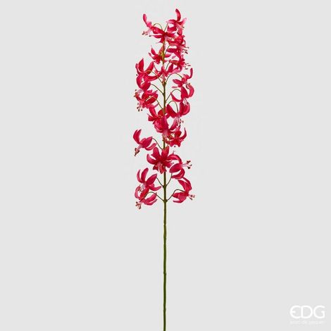 EDG Enzo De Gasperi Giglio Martagone H 105 Cm Beauty