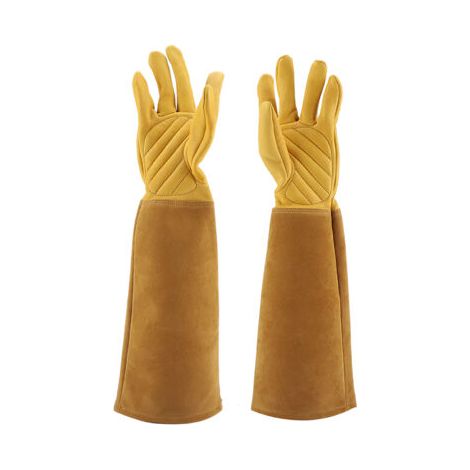 Qcwwy Gants D'élagage de Roses, Cuir de Mouton, Résistants à L'usure, Anti-crevaison, Longs Gants de Travail pour Jardinier, Coupe D'arbustes, Gants de Protection pour la sécurité du (M) (1/5)