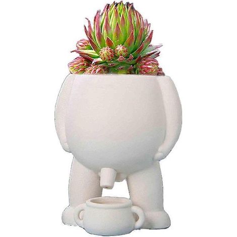 Pot de fleurs en forme de pot de chambre à pipi, Pot de fleurs humoristique, Vase amusant pour la maison (1/5)