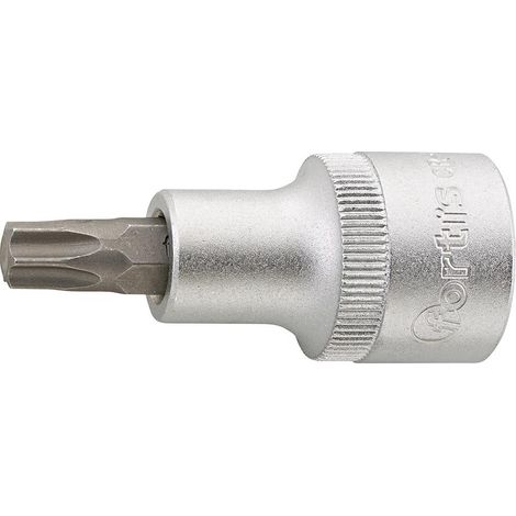 Schraubend.Eins. 1/2" T45x 55mm FORTIS (1/4)