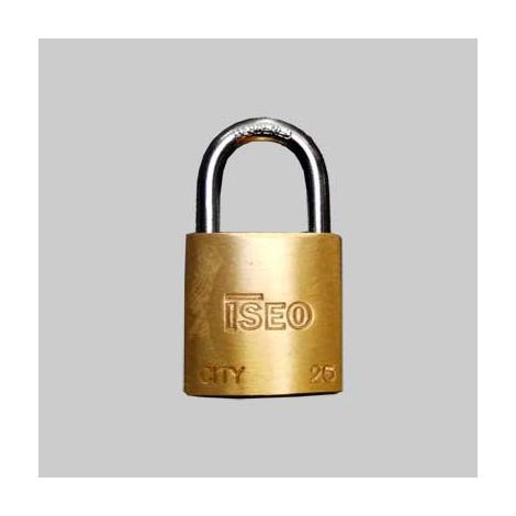 LUCCHETTO AD ARCO STANDARD 'ADITUS' ISEO 50 mm