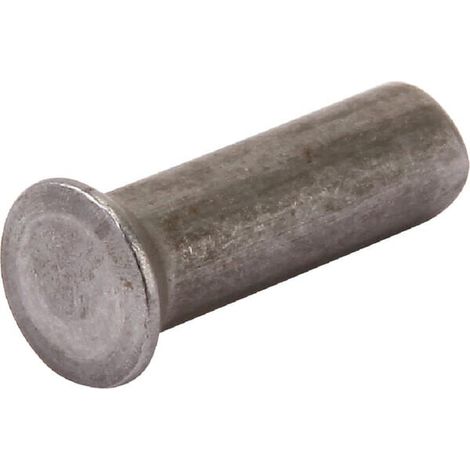 Remache AGRIA AGW56283